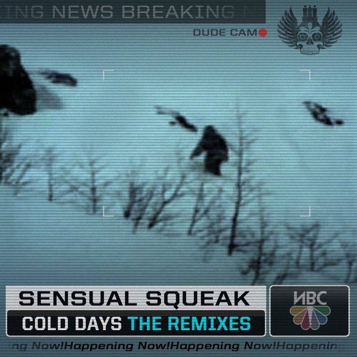SENSUAL SQUEAK - The Cold Days The Remixes