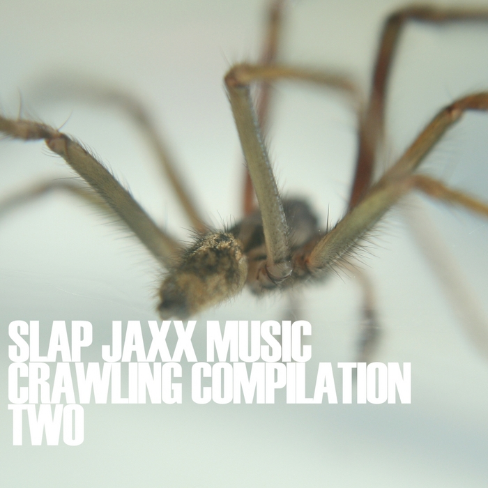 VARIOUS - Crawling Compilation Two