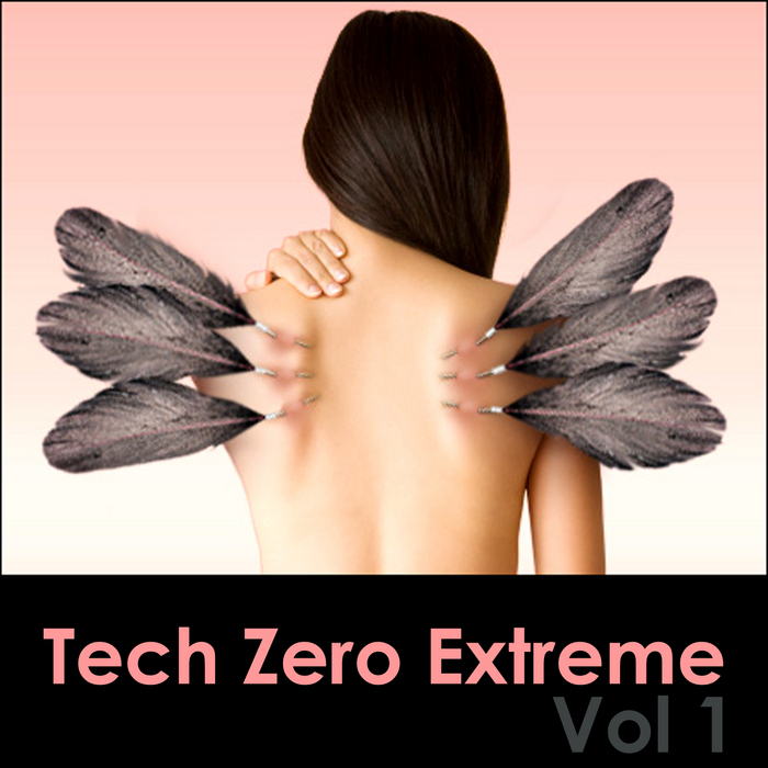 VARIOUS - Tech Zero Extreme Vol 1
