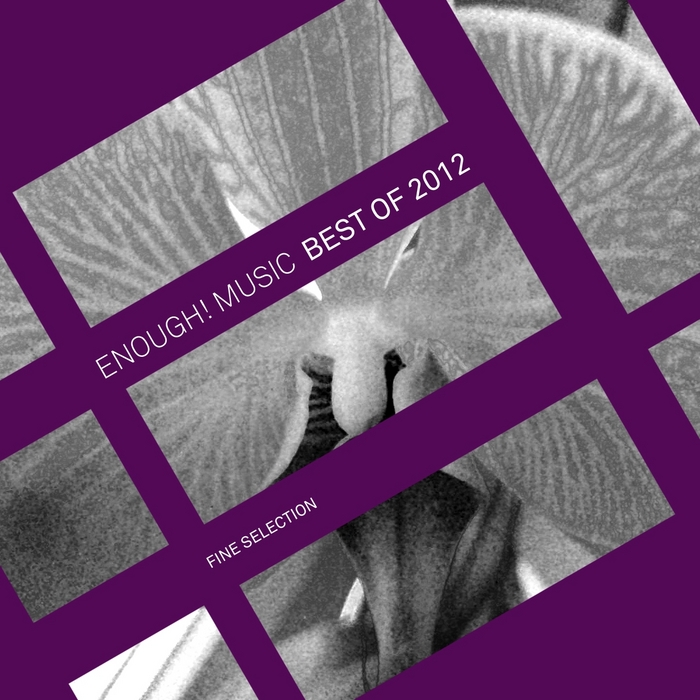 VARIOUS - Enough Music Best Of 2012: Fine Selection