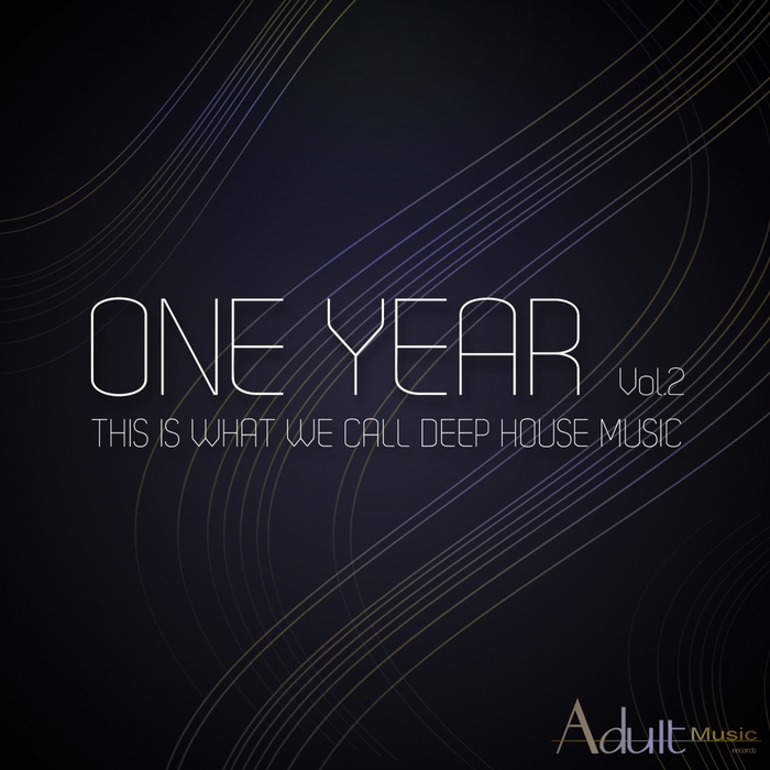 VARIOUS - One Year Vol 2: This Is What We Call Deep House Music