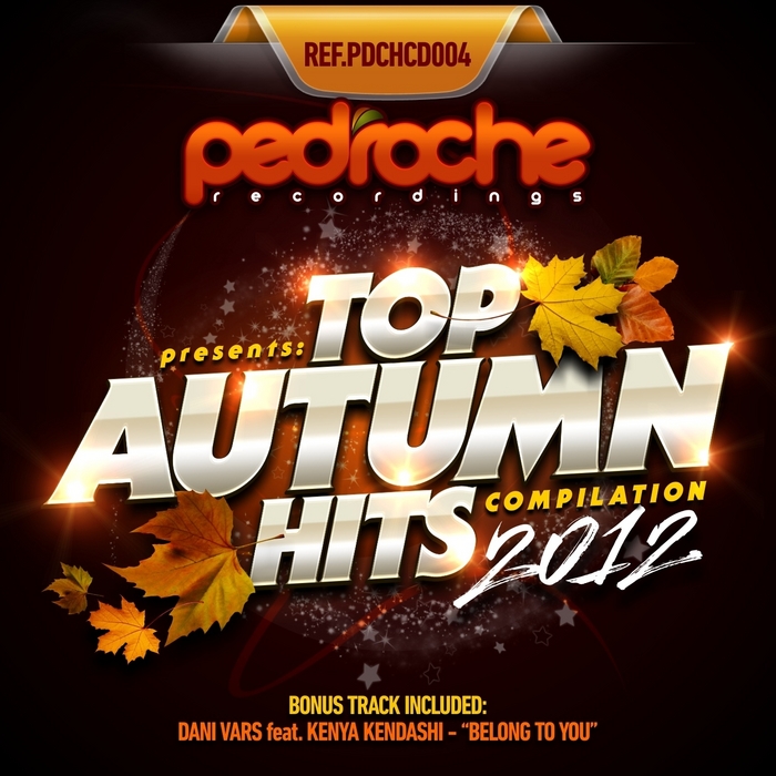 VARIOUS - Top Autumn Hits 2012