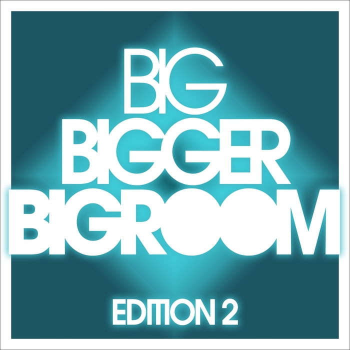 VARIOUS - Big Bigger Bigroom Vol 2