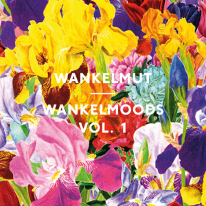 WANKELMUT/VARIOUS - Wankelmoods Vol 1