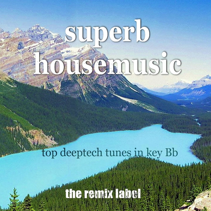 PADURARU/VARIOUS - Superb Housemusic (Top Deeptech Tunes In Key Bb) (unmixed tracks)