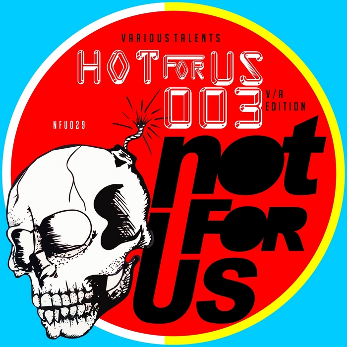 VARIOUS - Hot For Us 03