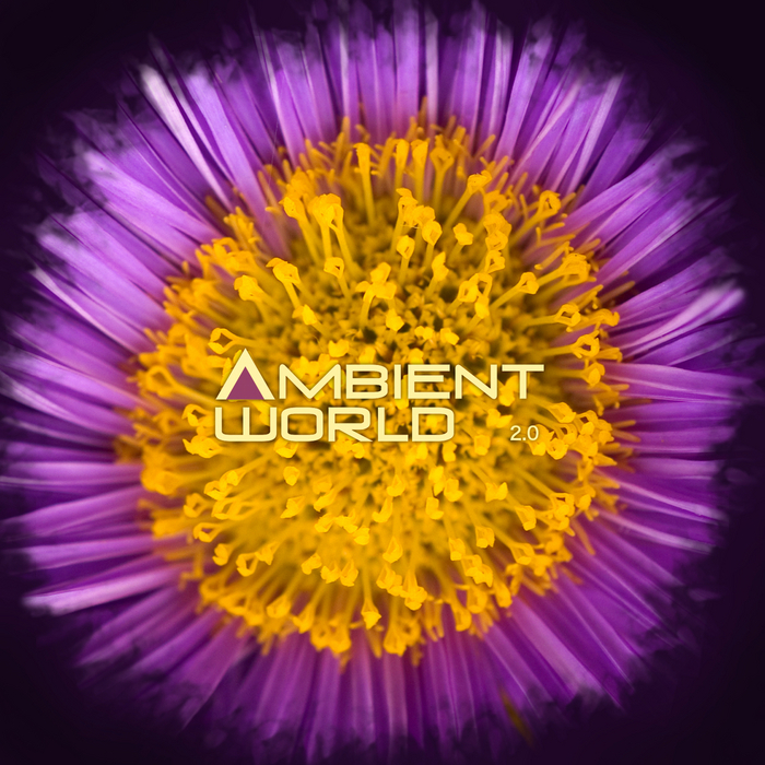 VARIOUS - Ambient World 2.0