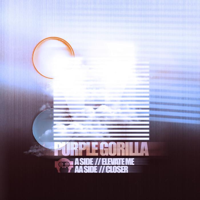 PURPLE GORILLA - Elevate Me