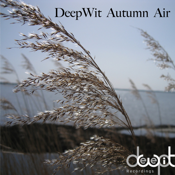 VARIOUS - DeepWit Autumn Air