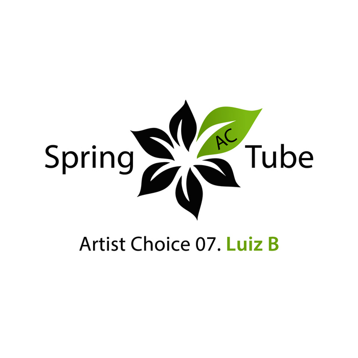 LUIZ B/VARIOUS - Artist Choice 07: Luiz B (Part 2) (unmixed tracks)