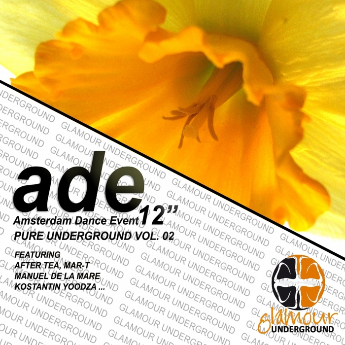 VARIOUS - ADE 2012: Pure Underground Vol 02