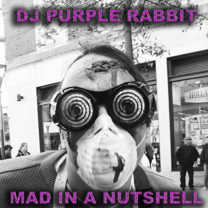 DJ PURPLE RABBIT - Mad In A Nutshell