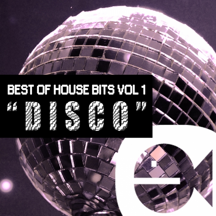 VARIOUS - Best Of House Music Bits Vol 1 Disco
