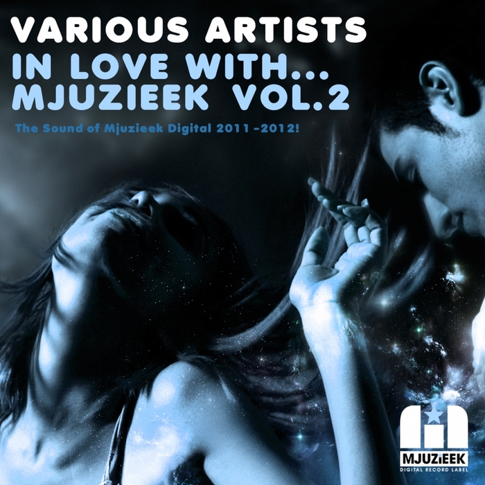 VARIOUS - In Love With Mjuzieek Vol 2
