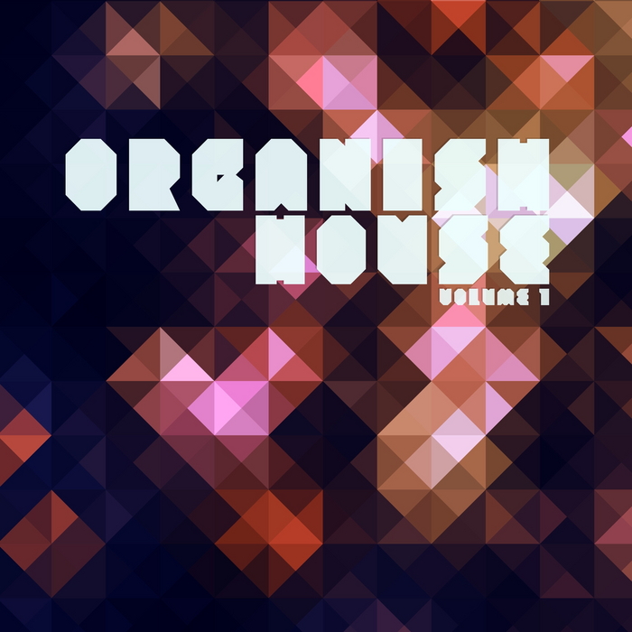 VARIOUS - Organish House Vol 1