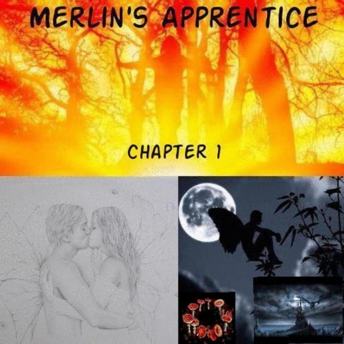 MERLINS APPRENTICE - Chapter 1