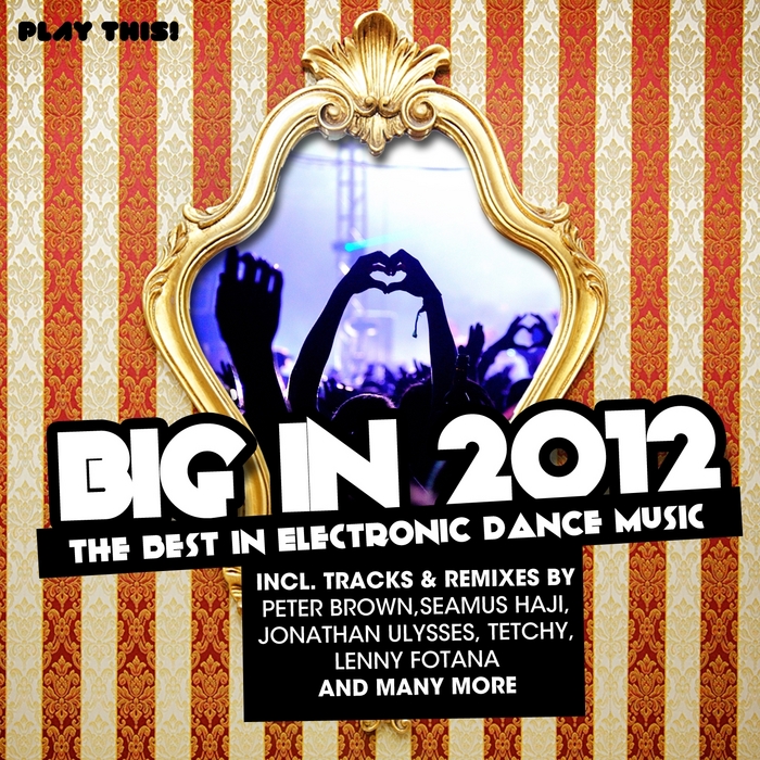 VARIOUS - Big In 2012 (The Best In Electronic Dance Music)