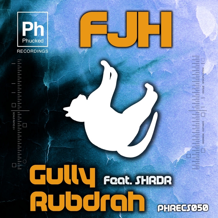 FJH - Gully