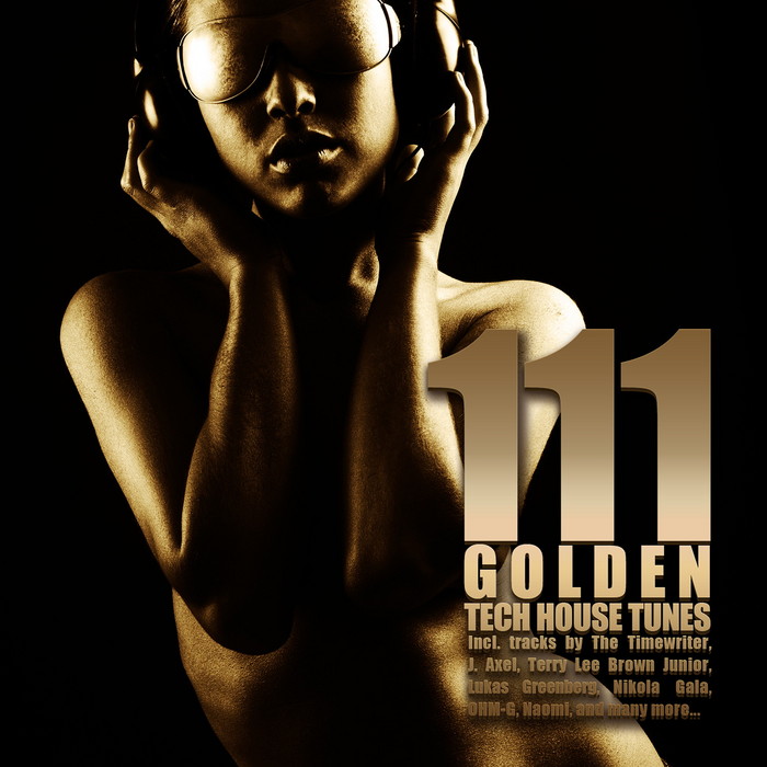 VARIOUS - 111 Golden Techhouse Tunes