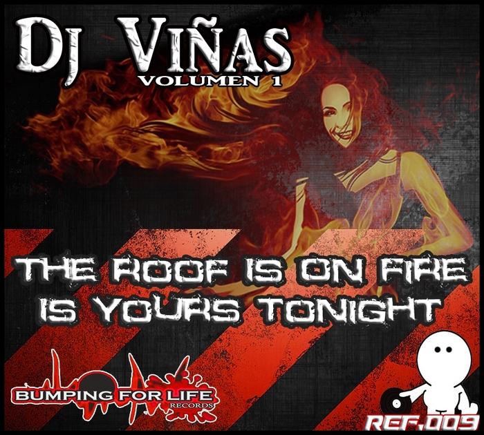 DJ VINAS - The Roof Is On Fire