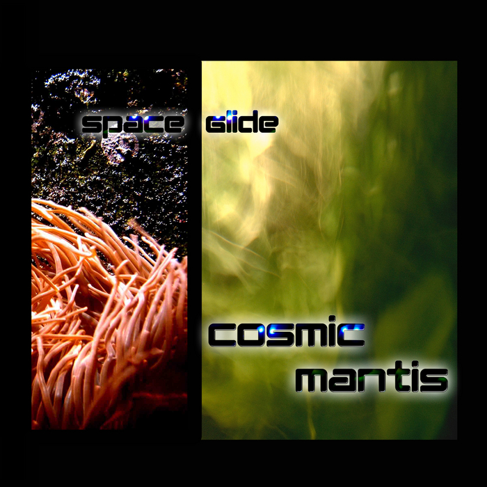 COSMIC MANTIS - Space Glide