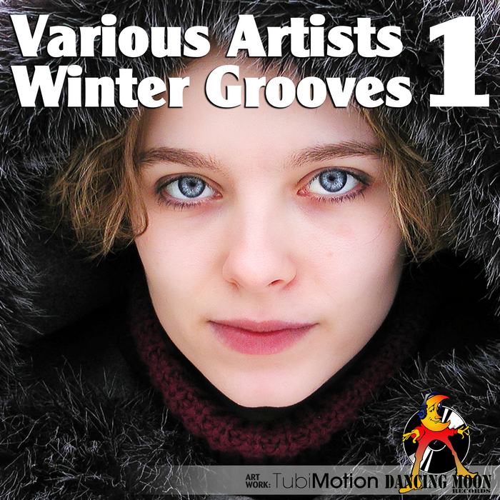 VARIOUS - Winter Grooves Vol 1