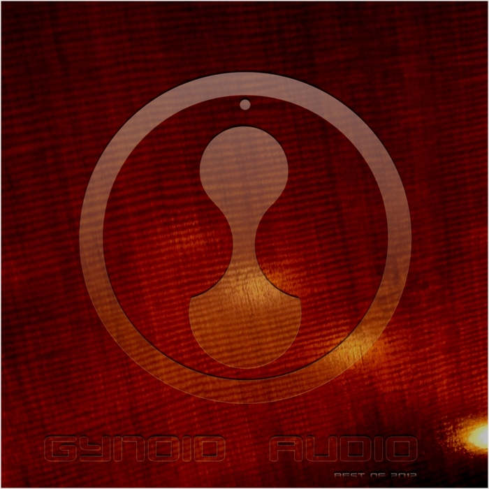 VARIOUS - Gynoid Audio (Best Of 2012)
