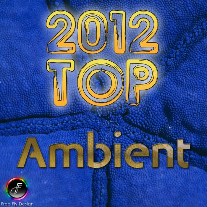 VARIOUS - Top 2012 Ambient