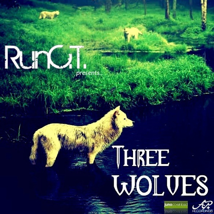 RUN CT - Three Wolves