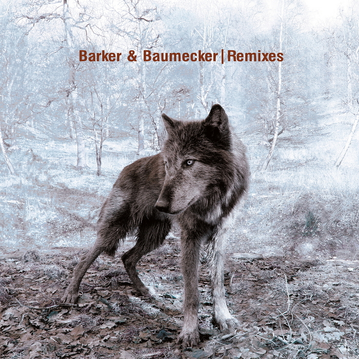 BARKER & BAUMECKER - Remixes