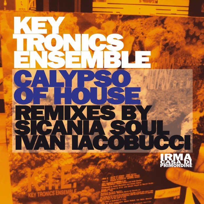 KEY TRONICS ENSEMBLE - Calypso Of House