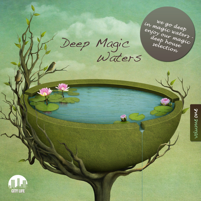 VARIOUS - Deep Magic Waters Vol 1