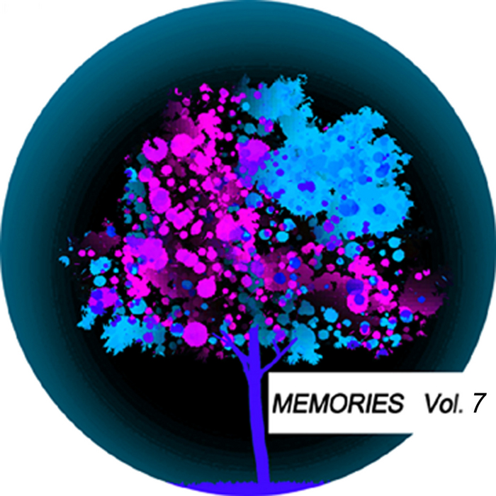 VARIOUS - Memories Vol 7