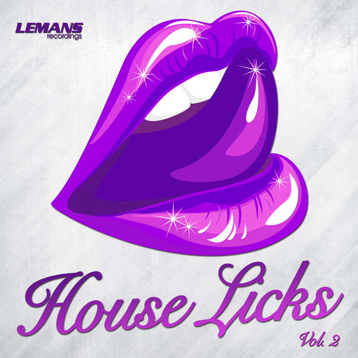 VARIOUS - House Licks Vol 2
