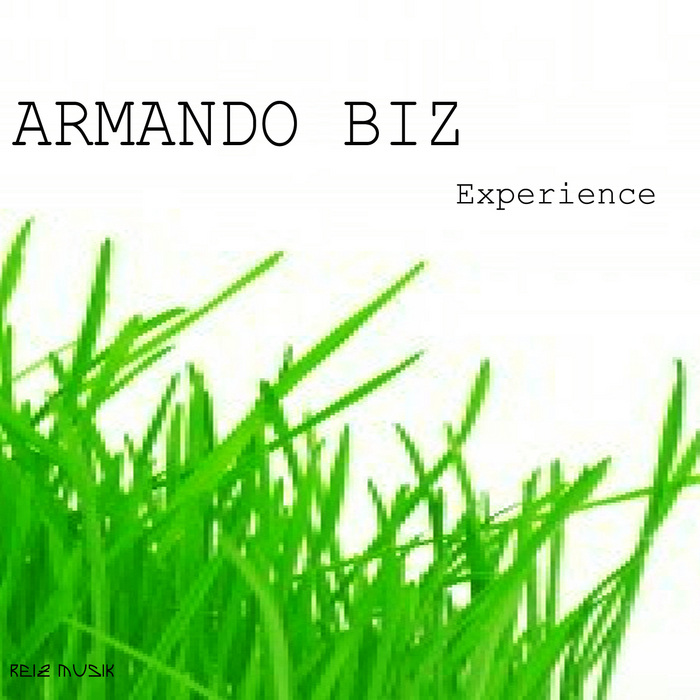 ARMANDO BIZ - Experience