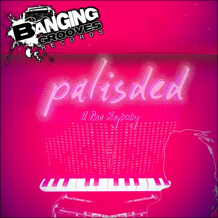 PALISDED - A New Beginning