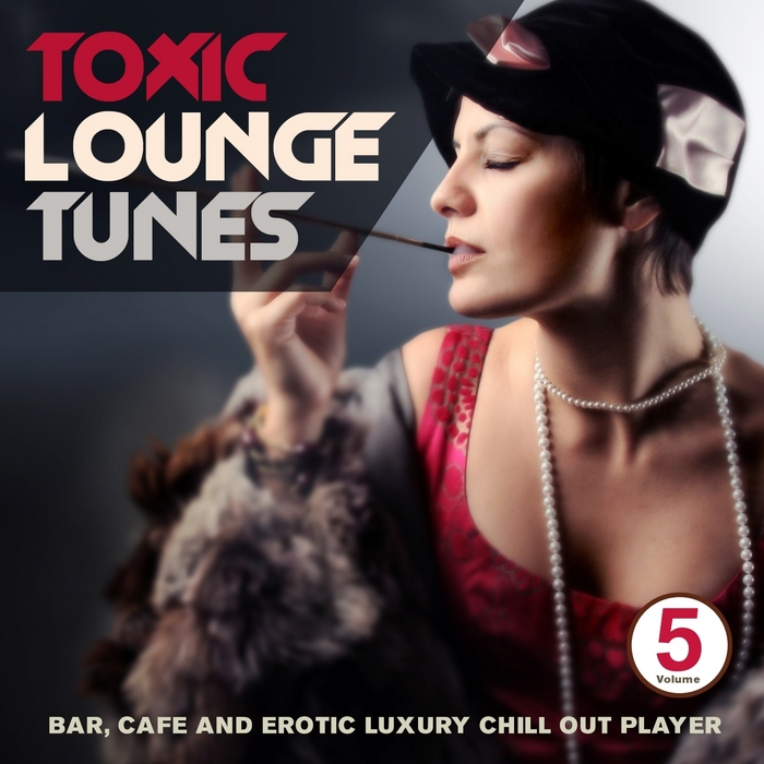VARIOUS - Toxic Lounge Tunes Vol 5 (Bar Cafe & Erotic Luxury Chill Out Player)