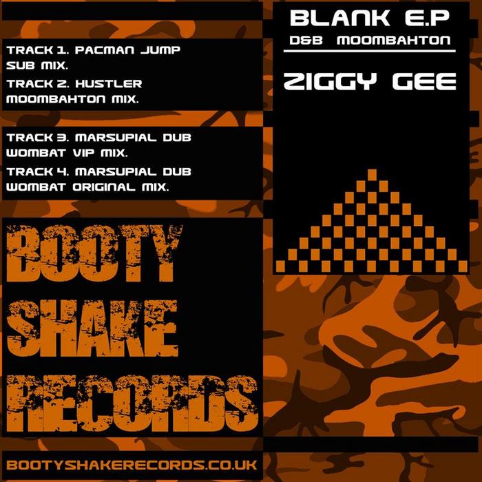 ZIGGY GEE - Blank EP