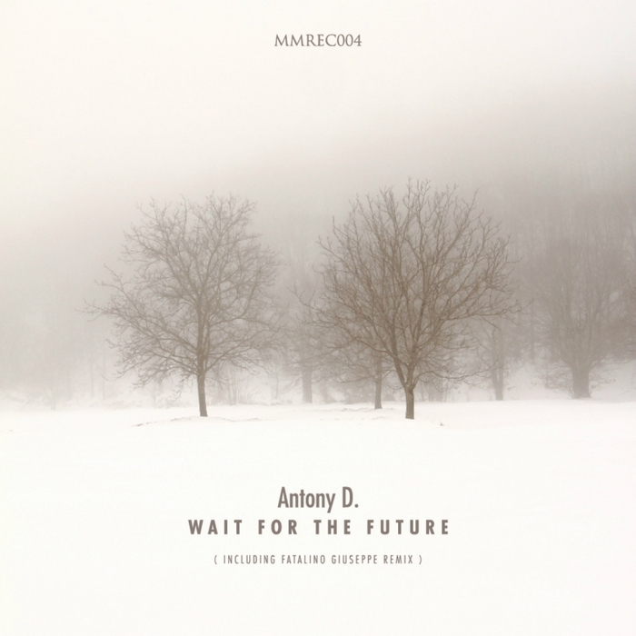 ANTONY D - Wait For The Future