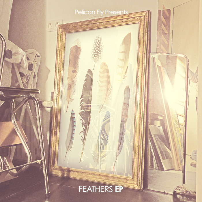 VARIOUS - Feathers