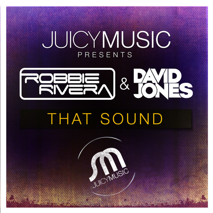 That sound. That Sounds. Robbie Rivera. David Jones David Songs mp3 download. Juicy Music