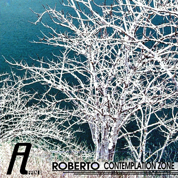 ROBERTO - Contemplation Zone