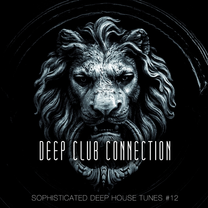 VARIOUS - Deep Club Connection Vol 12