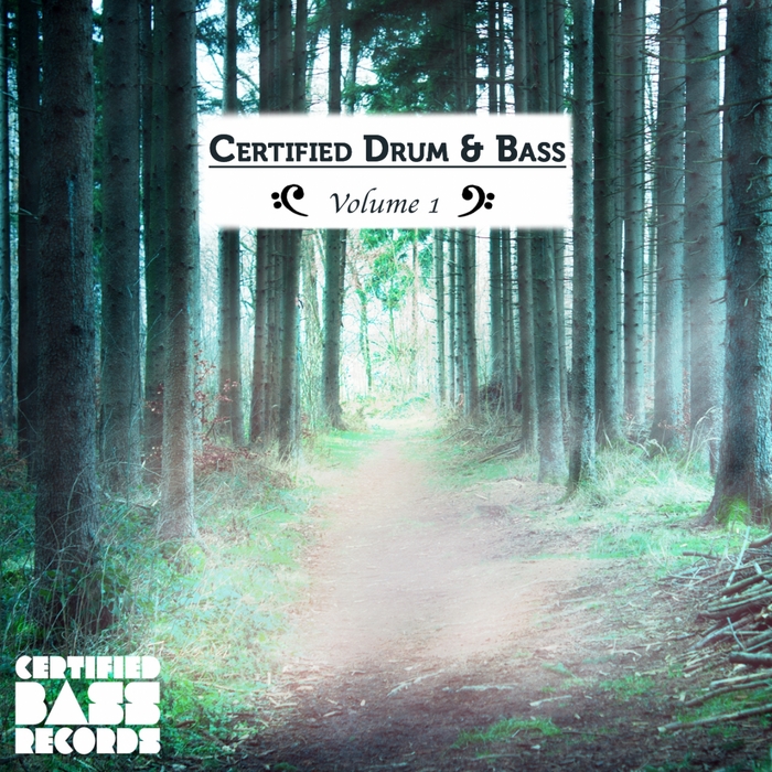 VARIOUS - Certified Drum & Bass: Volume 1