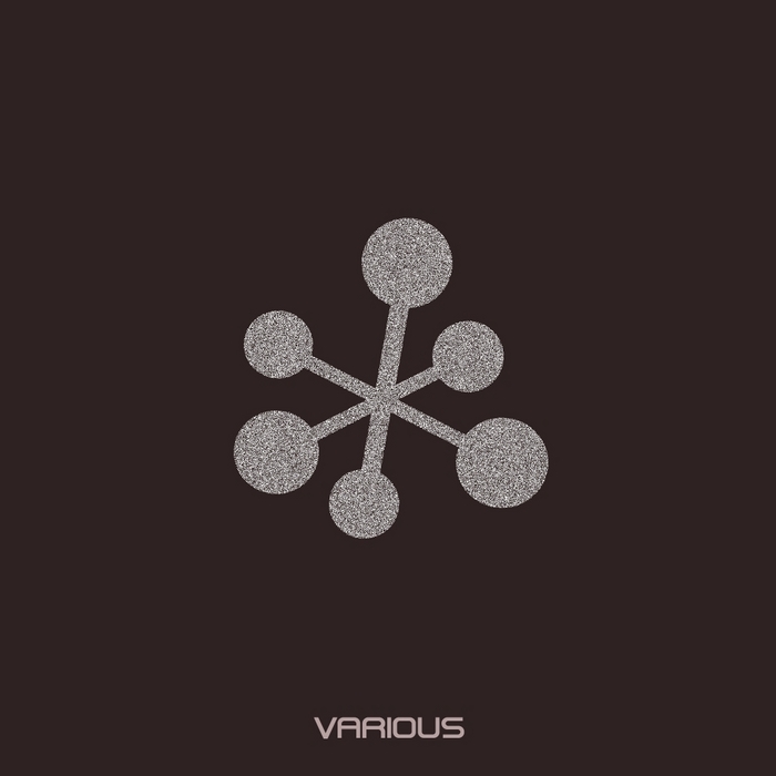 VARIOUS - Slap Jaxx Various 2013