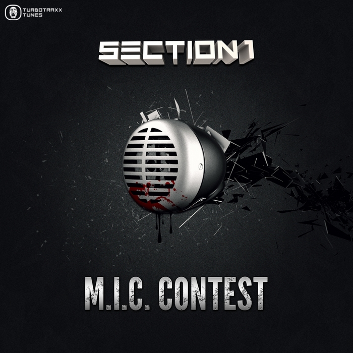 SECTION 1 - MIC Contest