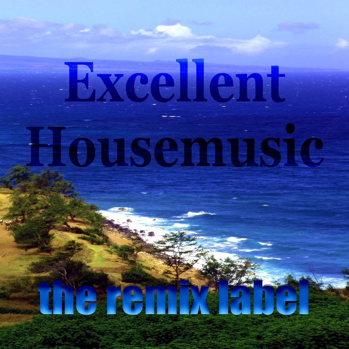 VARIOUS - Excellent Housemusic (Hot Romanian Deeptech Meets Proghouse Music Tunes in Key-Eb)