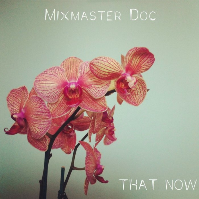 MIXMASTER DOC - That Now