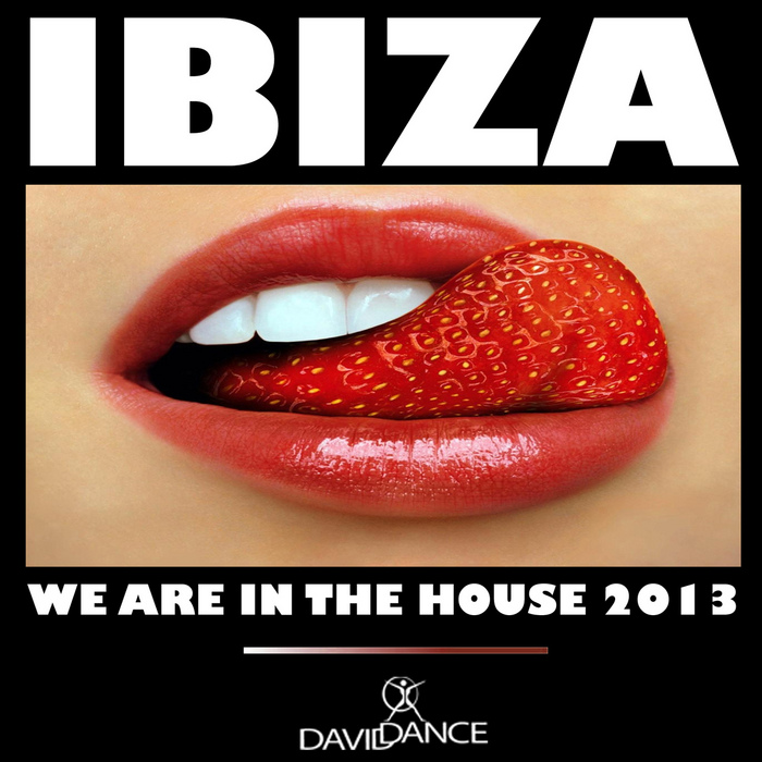 VARIOUS - Ibiza 2013: We Are In The House Vol 1