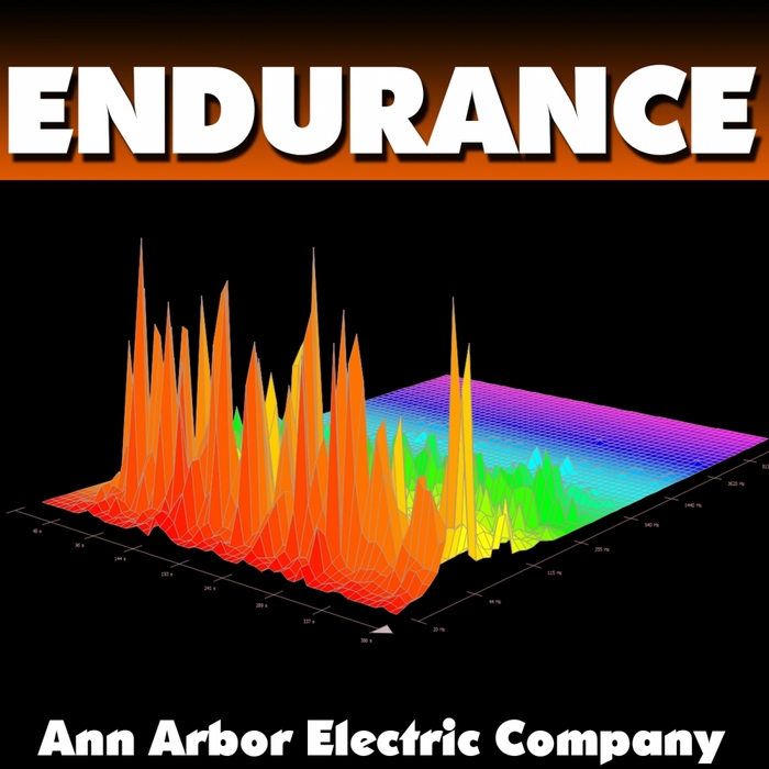 ANN ARBOR ELECTRIC COMPANY - Endurance